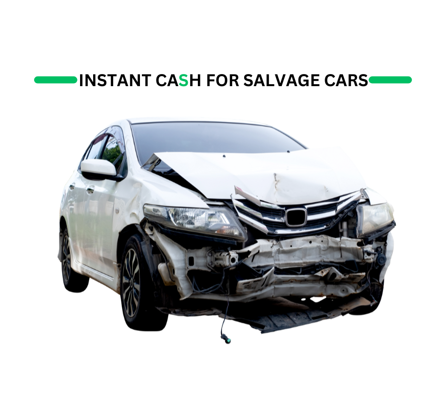 Untitled design (49)