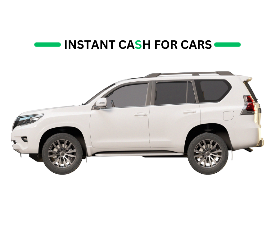 Untitled design (50)